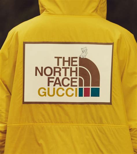 north face gucci|north face gucci shop online.